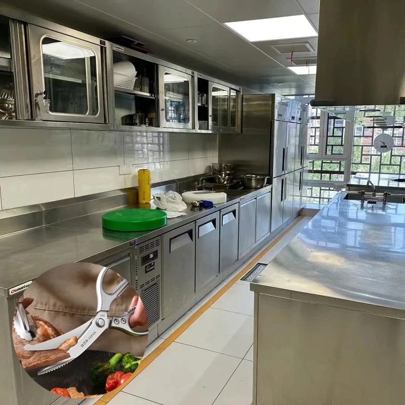 Tijeras de cocina Seiko de ace - Kitchen Gadgets Latest reseña y precio